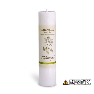 Lichtengel