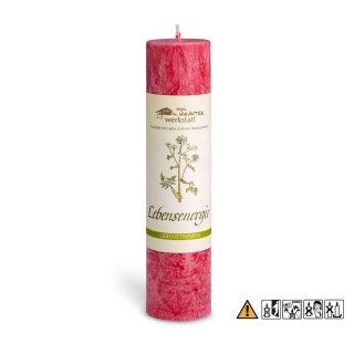 Lebensenergie